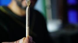 konopí cannabis-smoking-5890427 1280
